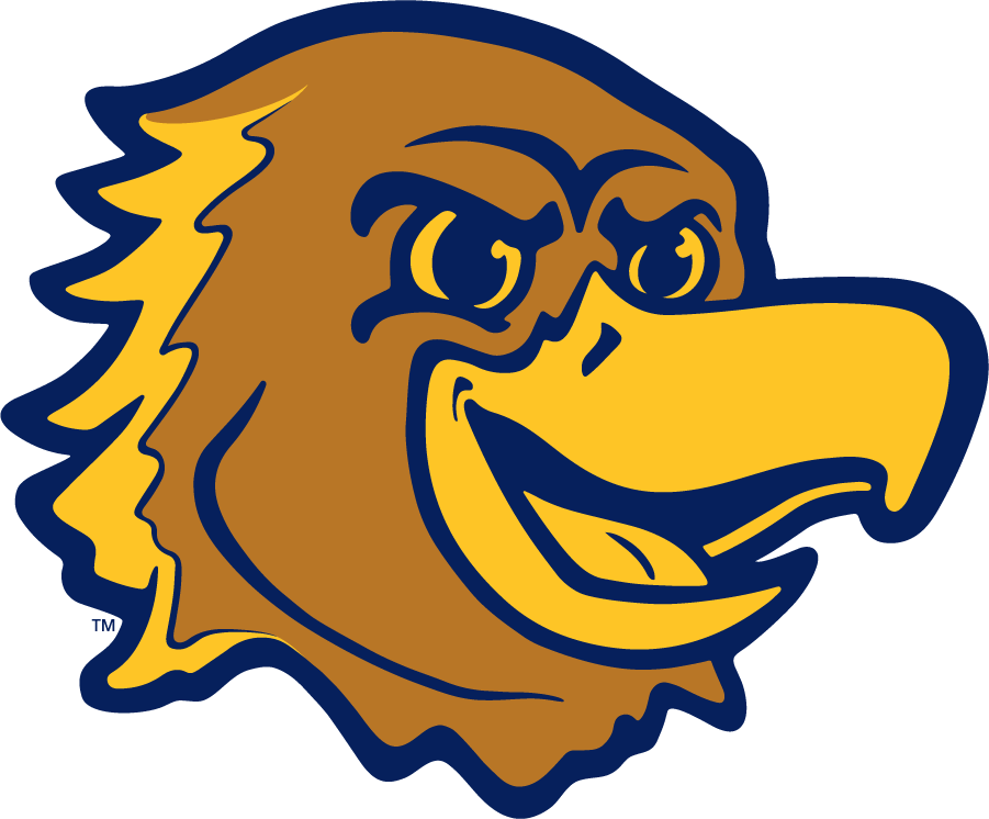 Marquette Golden Eagles 2020-Pres Mascot Logo iron on transfers for T-shirts